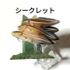 【シークレット】ゴンズイのサムネイル