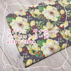 Item thumbnail for item 98b90050-7bf2-455a-a626-823dd5e198d8