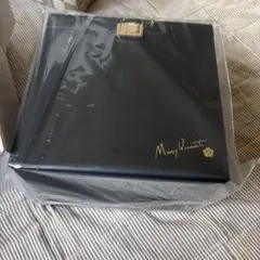 Item thumbnail for item 068b9562-98b2-4f04-b607-3e72dd8cd228