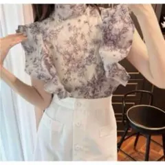 スナイデル ノースリフリルオーガンシースルーブラウス