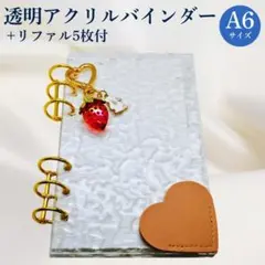 アクリルバインダー A6 リフィル 家計簿 管理 貯金 収納 saving テ1