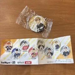 【新品未使用】 ハイキュー！！ 宮侑 缶バッチ