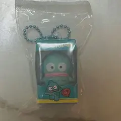 ハンギョドン チョコボックス
