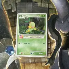 2026年最新】ナエトル プロモの人気アイテム - メルカリ