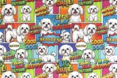 ドンパ様 リクエスト 2点 まとめ商品