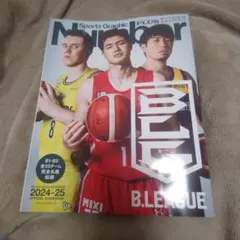 Item thumbnail for item b630e6fd-ecfb-4d94-be85-8baaa8debf66