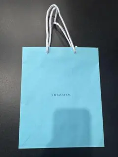 Tiffany & Co. ショップ袋 ショッパーのサムネイル
