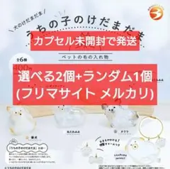 【匿名配送】うちの子のけだまだま 犬 選べる2個+ランダム1個 合計3個セット