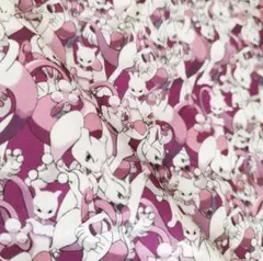 《50×70》ミューツー Pokemon ポケモン はぎれ 布 生地