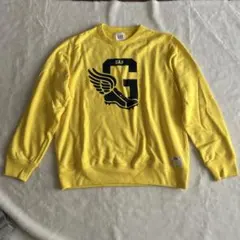 Item thumbnail for item 113a1db4-e775-4175-abe6-3a19801d23f1