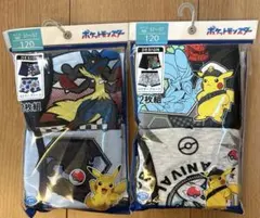 Item thumbnail for item f30790d7-4cde-4b06-a021-86c82833b6c9