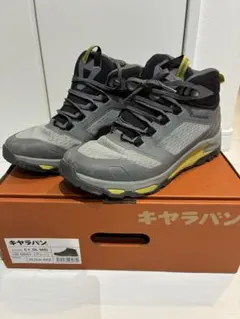 Item thumbnail for item 93d2fb1e-efb0-4317-9716-21ca401320ce