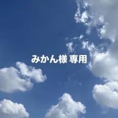 みかん様 専用