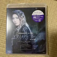 宝塚歌劇ミュージカル エリザベート-愛と死の輪舞(ロンド)- : 花組版