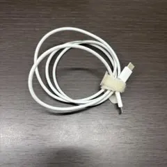 【だいちゃん様専用】USB-C to USB-C Apple純正充電ケーブル