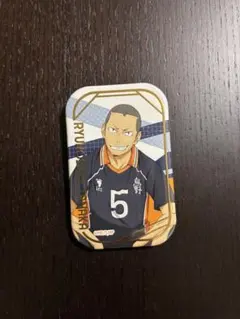 ハイキュー!!スクエア缶バッジ おすわり版権 田中龍之介