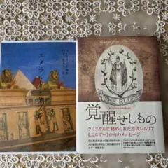 西洋古地図 1735年 ベルギー Meenen メーネン 都市景観図 美品 城塞