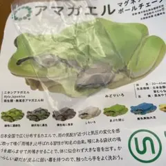 Item thumbnail for item c318a164-6e2d-42d0-ba36-daf31a43fcd8