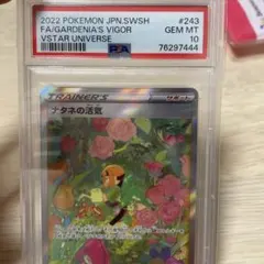 PSA10 ナタネの活気 SAR 243/172 S12a