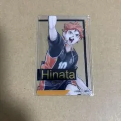 ハイキュー ファンパーク クリアカード 日向翔陽