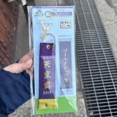 ホースヒーローズ　タイトーくじ E賞　ゴールドシップ