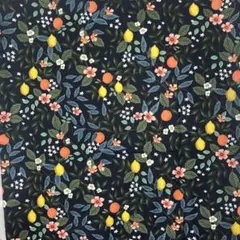 #XmasセールNo.130 ⭐️USAコットン シーチング 約50×50