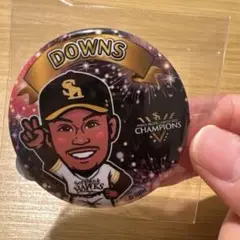 福岡ソフトバンクホークス優勝記念　若鷹ガチャ