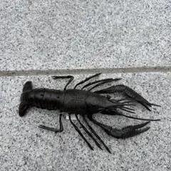 銅製 ザリガニ 自在 安の介銘 - メルカリ