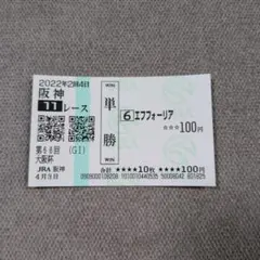 レゾルーティオ メイクデビュー阪神 現地単勝馬券 記念馬券 外れ