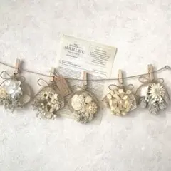 Item thumbnail for item d7afad01-b8b9-4f3f-80db-440f55a9fd45