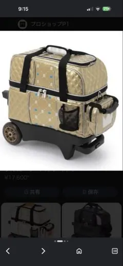 激レア 希少 未使用級 SWANY ピーターラビット コラボ キャリー バッグ