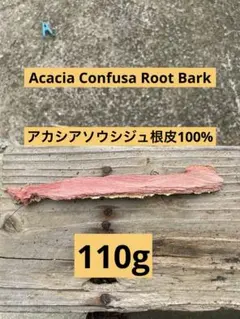 2026年最新】acacia confusaの人気アイテム - メルカリ