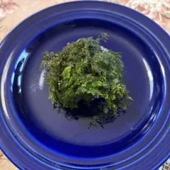 はなはなはなこ様 リクエスト 2点 まとめ商品