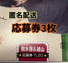 駒木根葵汰 越山敬達 TV LIFE 10/23 応募券 3枚