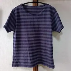 アップルハウス半袖Tシャツ青紫ボーダー柄のサムネイル
