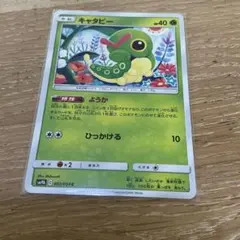 キャタピー C SM9b フルメタルウォール 002/054