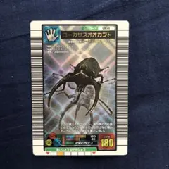 コーカサスオオカブト