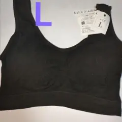 Item thumbnail for item 255e3efd-2092-4a62-be56-0f157694011e