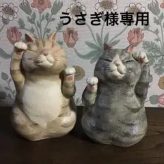うさぎ様専用(=^ェ^=)