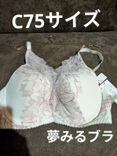アモスタイルバイトリンプ、夢みるブラ、C75サイズ。