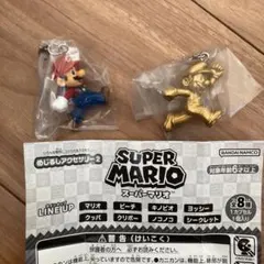 スーパーマリオ　めじるしアクセサリー マリオ&シークレット2個セット 新品