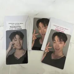 SEVENTEEN CARAT standard HMV特典　ディノ