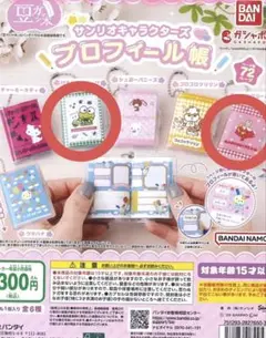 サンリオキャラクターズ プロフィール帳