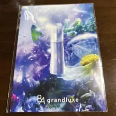 2025年最新】グランラグゼ サンプルの人気アイテム - メルカリ