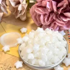 miiko様 リクエスト 2点 まとめ商品