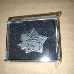 名探偵コナン 100万ドルの五稜星 みちしるべ ピンバッジ