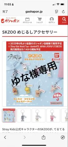 SKZOO めじるしアクセサリー 全8種