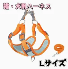 Item thumbnail for item 5593152a-b256-4227-a9f5-b89763f00695