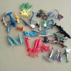フィギュア 海の生き物50体