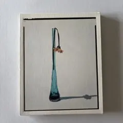 上田義彦　flowers アーヴィング・ペン　桐島かれん 荒木経惟　葛西薫 2025年最新】荒木経惟 桐島かれんの人気アイテム - メルカリ